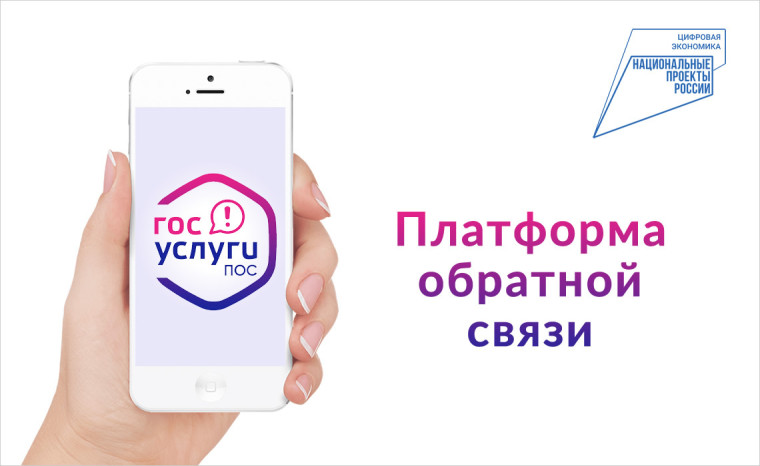 Платформа обратной связи (ПОС). Платформа обратной связи (ПОС).